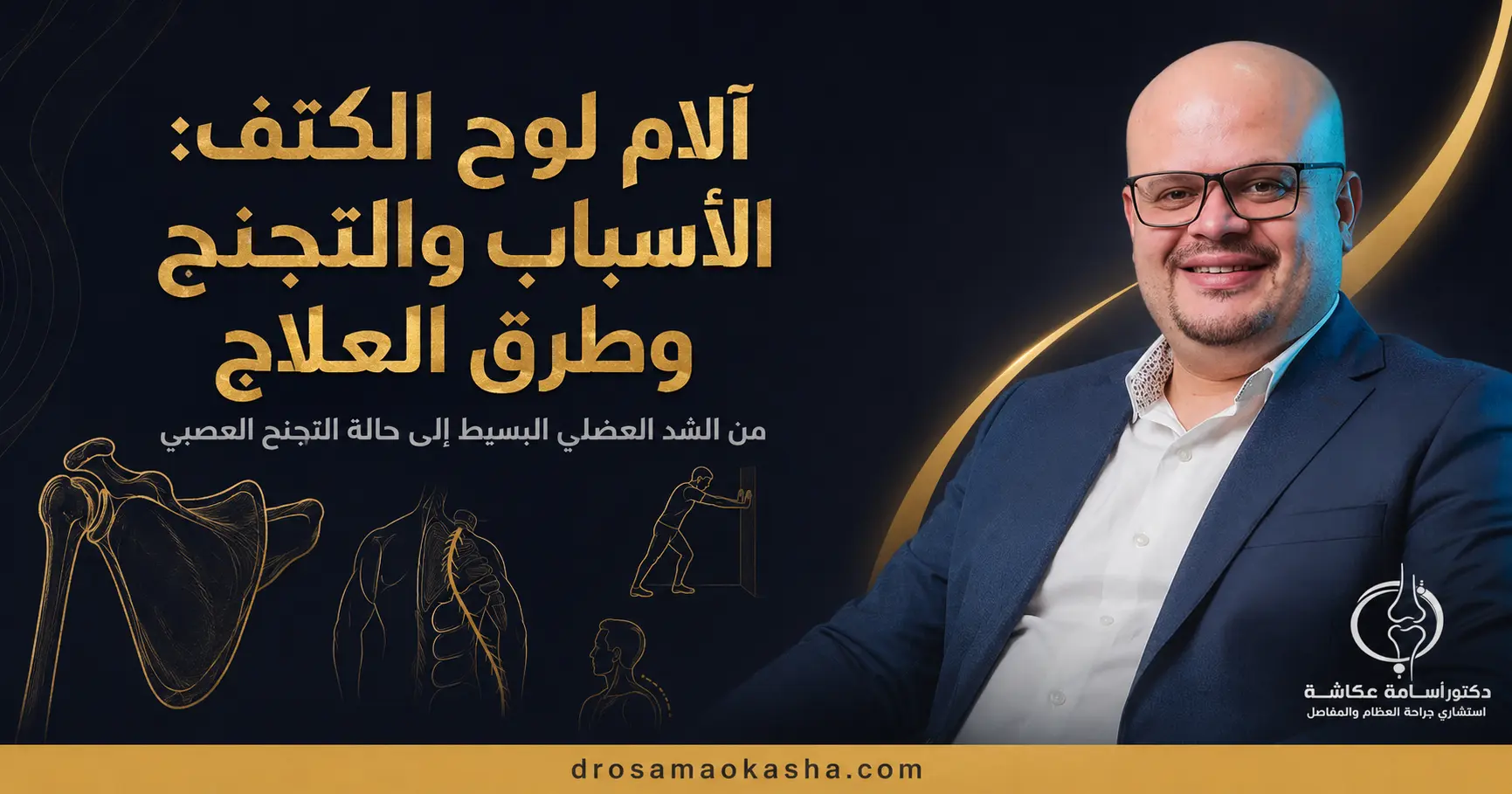 لوح الكتف لوح الكتف