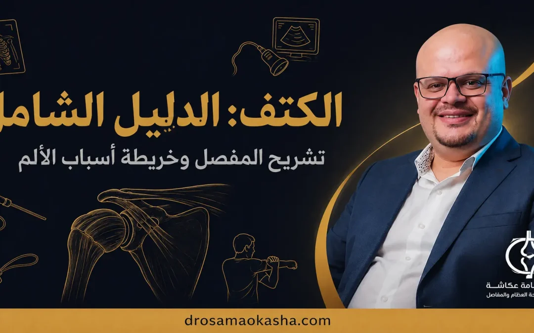 الكتف: الدليل الشامل لتشريح المفصل وأسباب آلامه وطرق علاجها