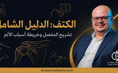 الكتف: الدليل الشامل لتشريح المفصل وأسباب آلامه وطرق علاجها